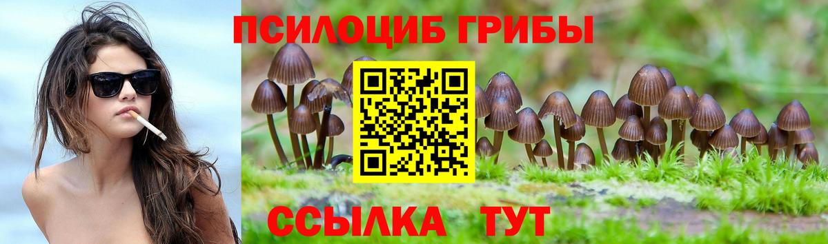 Псилоцибиновые грибы Cubensis Губкинский